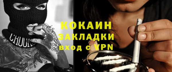 гашик Арсеньев