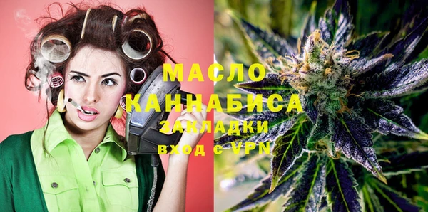 дмт Алексин