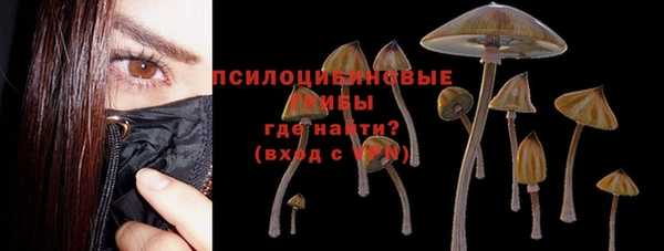 гашик Арсеньев