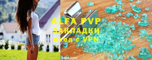 гашик Арсеньев