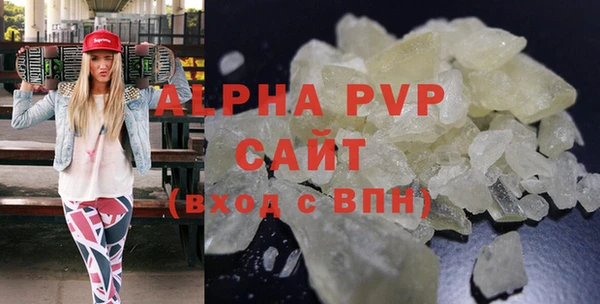 гашик Арсеньев