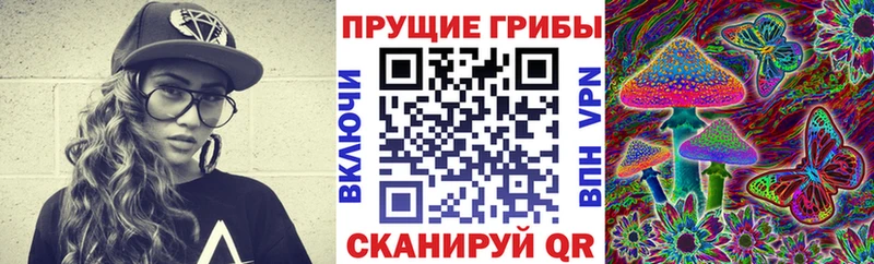 ссылка на мегу ссылки  магазин продажи   Салават  Псилоцибиновые грибы Cubensis 