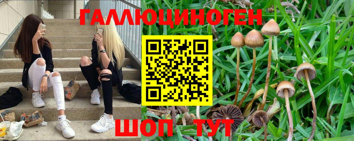 Псилоцибиновые грибы мухоморы Салават