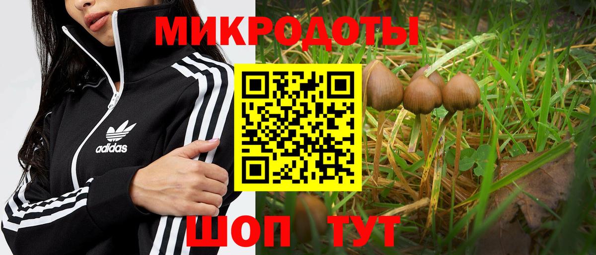 Галлюциногенные грибы Magic Shrooms  Вход с VPN  Салават 
